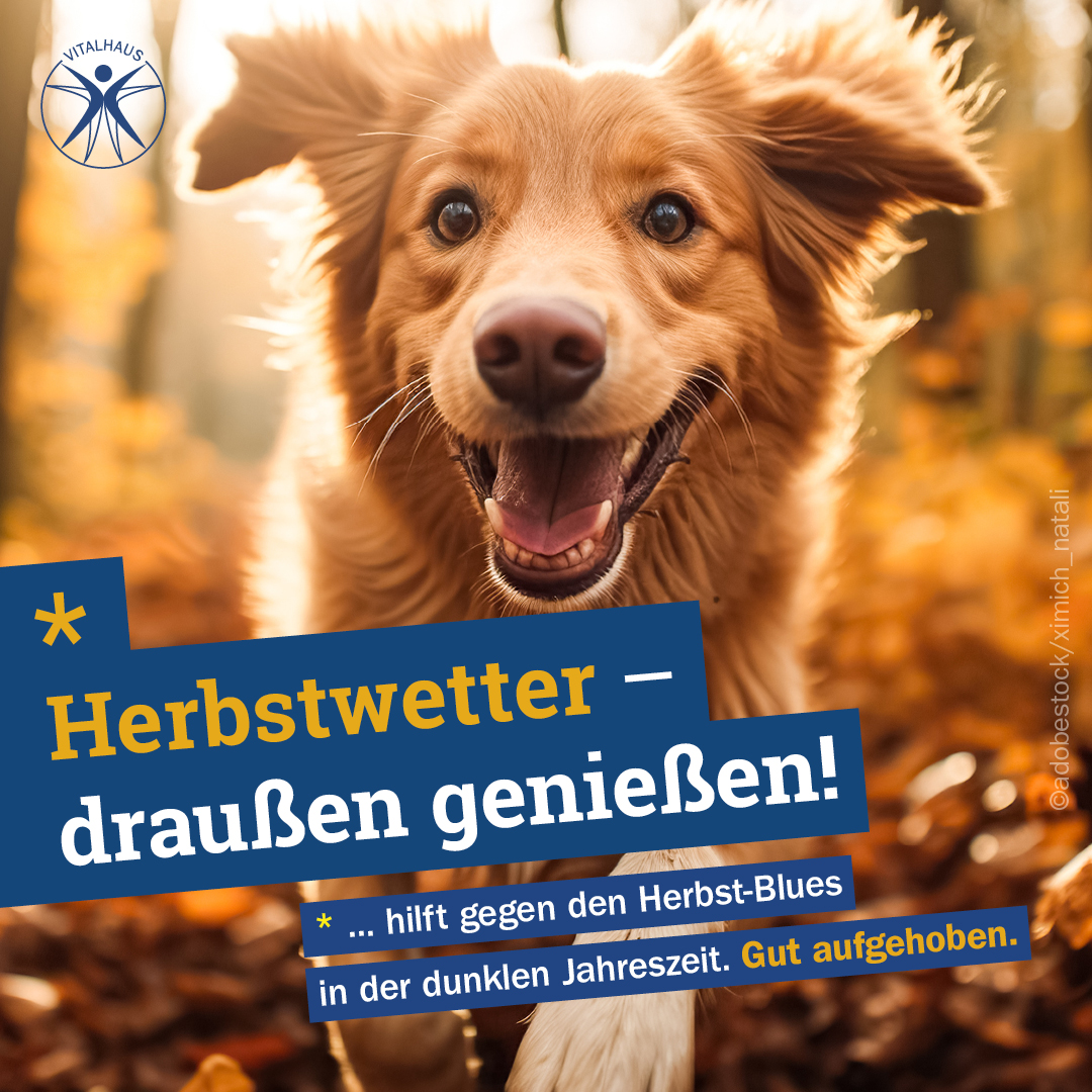 01766_EINLE_Insta231030_R012